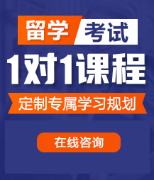 大鸡巴操好爽视频留学考试一对一精品课